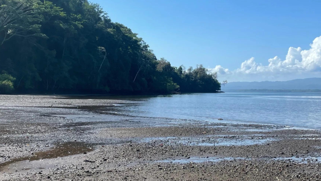 Playa Matapalo