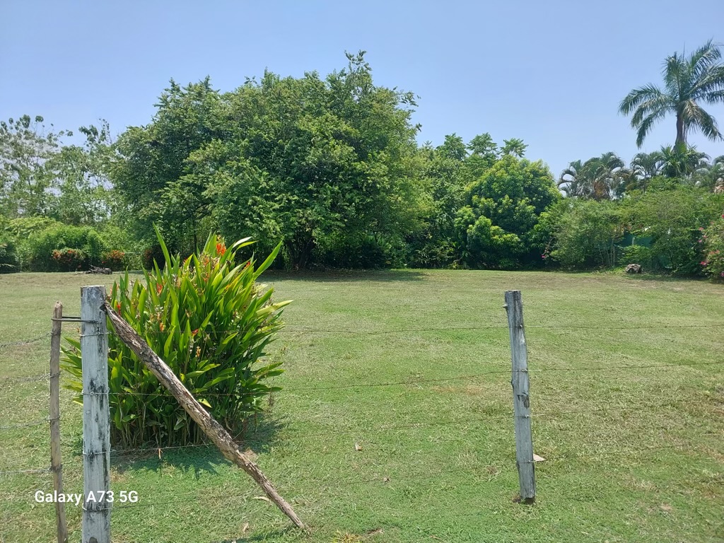 1/3 acre titled beachside lot