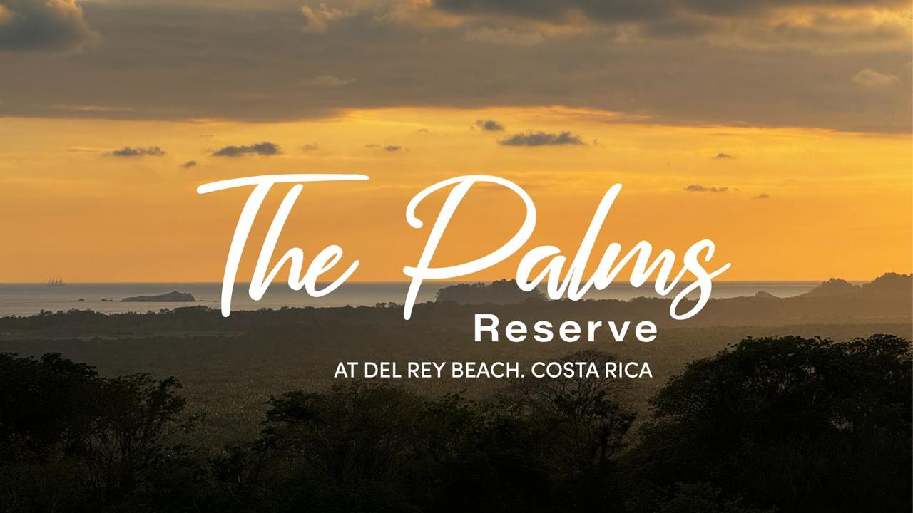 The Palms Reserve at Del Rey beach